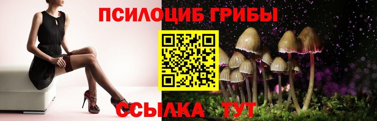 Коммунар  Галлюциногенные грибы прущие грибы  Вход с VPN  Галлюциногенные грибы Cubensis 